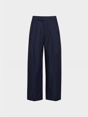Aritzia Babaton pivotal pant